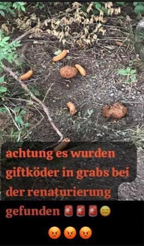 Giftköder-Giftköder-Profilbild