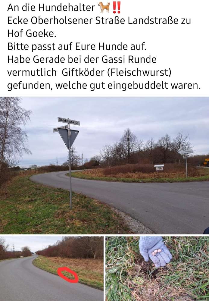 Giftköder-Fleischwurst-Profilbild