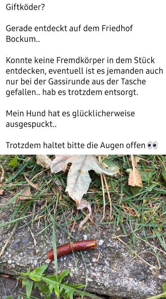 Giftköder-Evtl. Giftköder-Profilbild