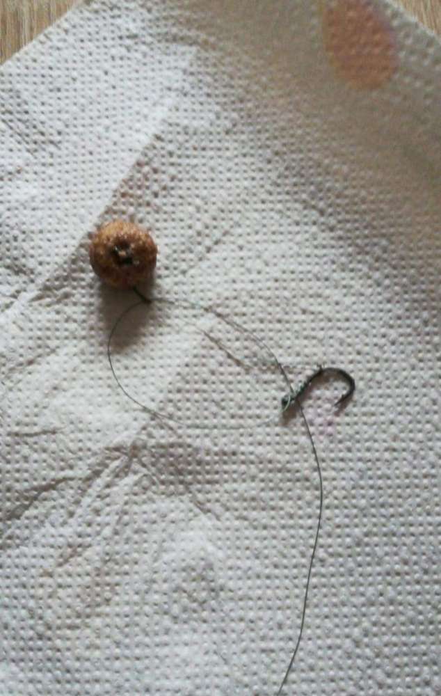 Giftköder-Giftköder mit Angelhaken-Profilbild