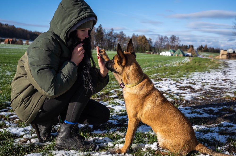 Hundetreffen-Hundetreffen in Herrnhut/Löbau und Umgebung!-Profilbild