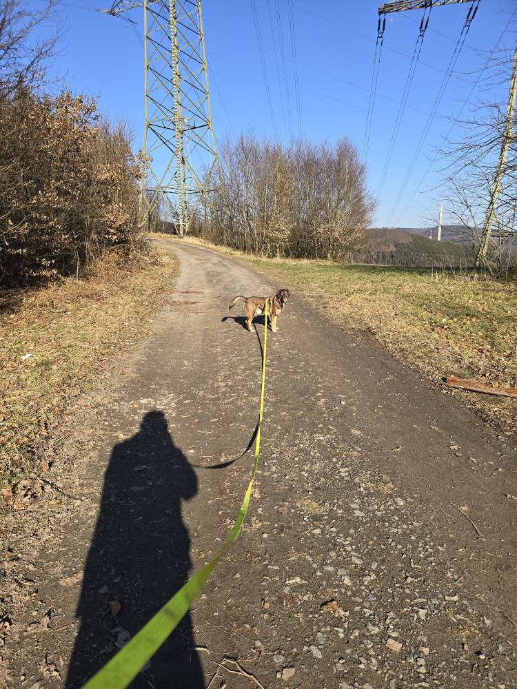 Giftköder-Giftköder?-Profilbild