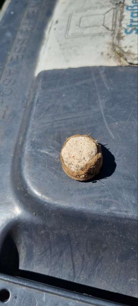 Giftköder-Giftköder!!-Profilbild