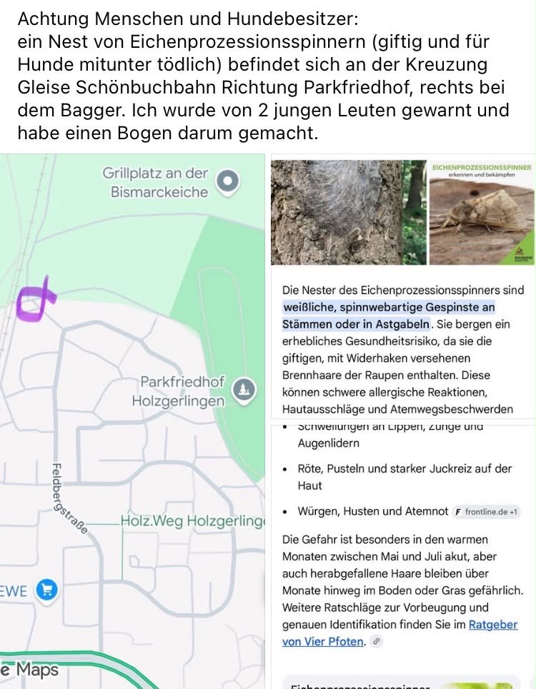 Giftköder-Prozessionsspinner-Profilbild