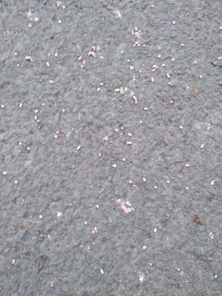 Giftköder-Giftweizen/poison wheat?-Profilbild