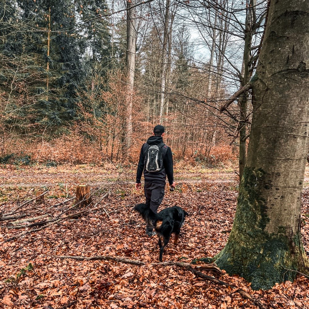 Hundetreffen-Social Walk-Profilbild