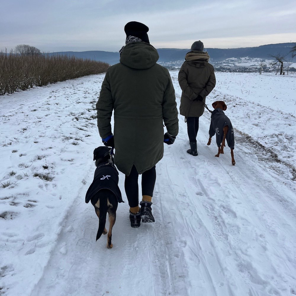 Hundetreffen-Social Walk-Profilbild