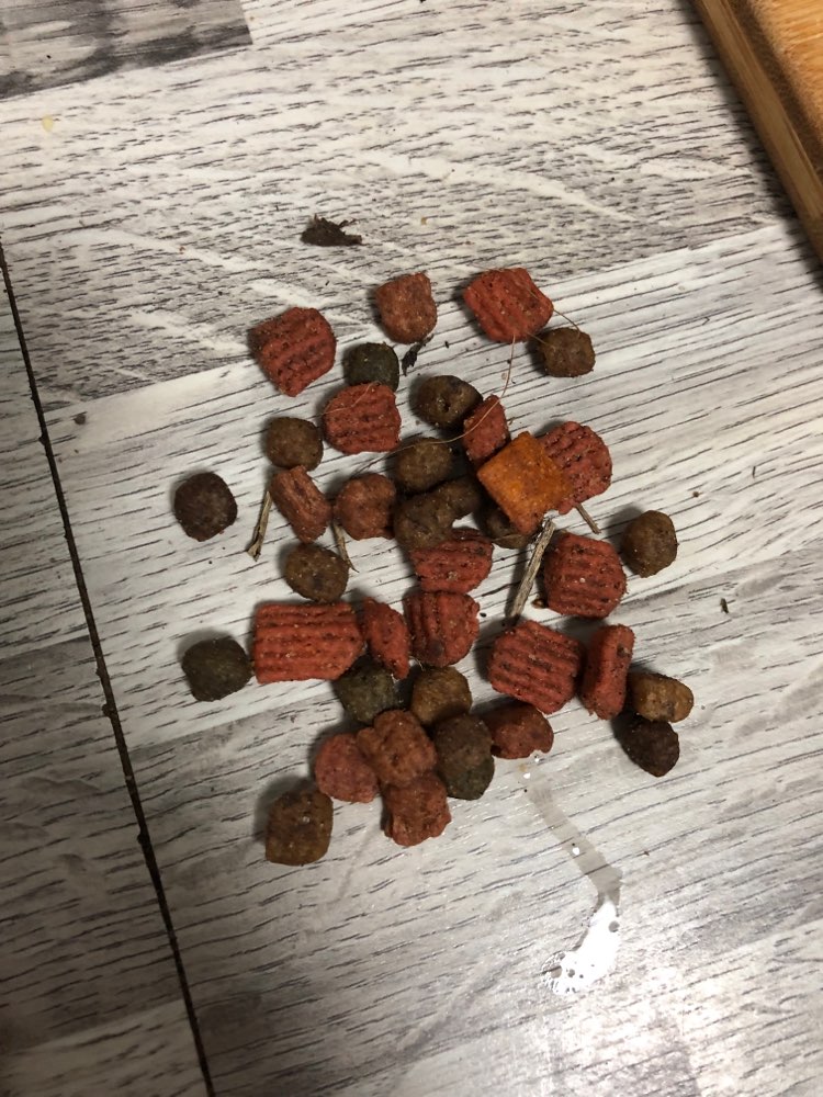 Giftköder-Mögl. Giftköder? Leckerlies verteilt-Profilbild