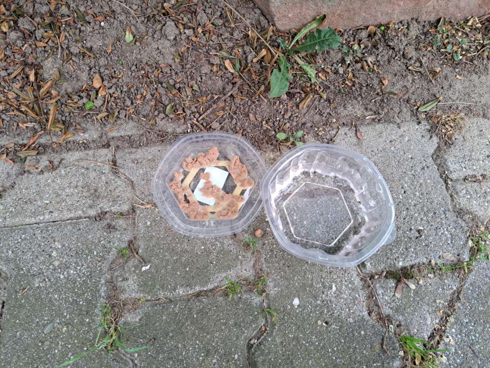 Giftköder-Giftköder-Profilbild