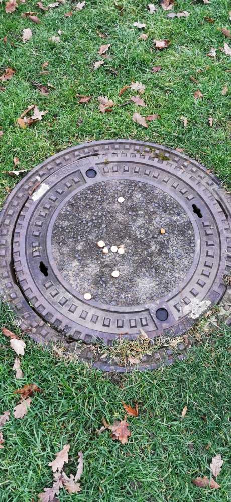 Giftköder-Versteckt platzierte Wurststücke-Profilbild