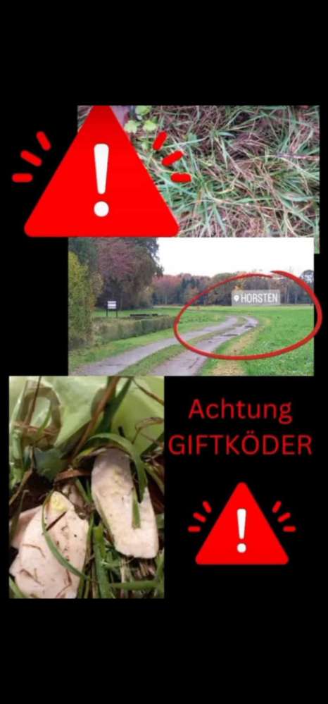 Giftköder-Giftköder in Fleischwurst-Profilbild