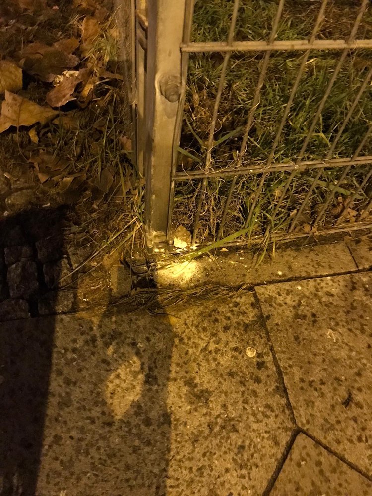 Giftköder-Weisses Pulver ( im ganzen Kaskelkiez!)-Profilbild