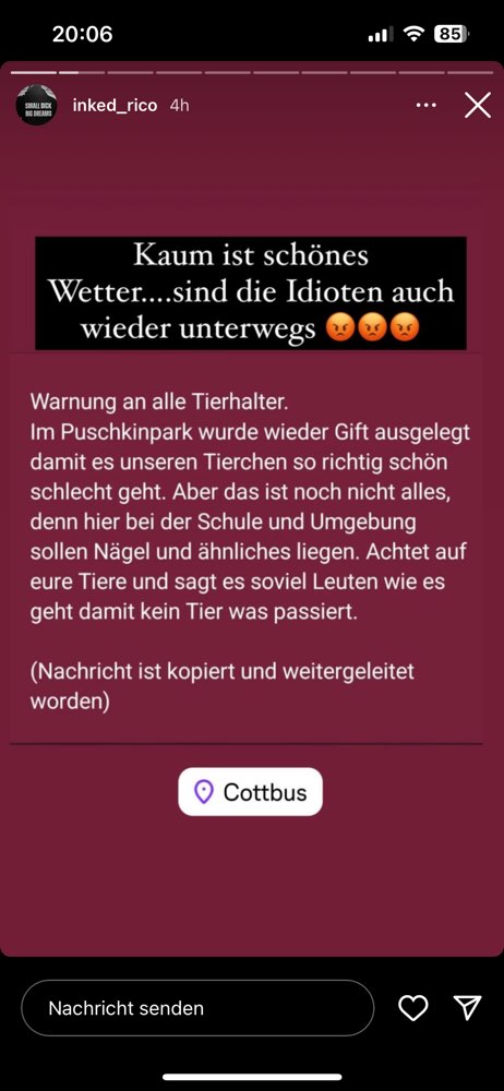 Giftköder-Giftköder-Profilbild