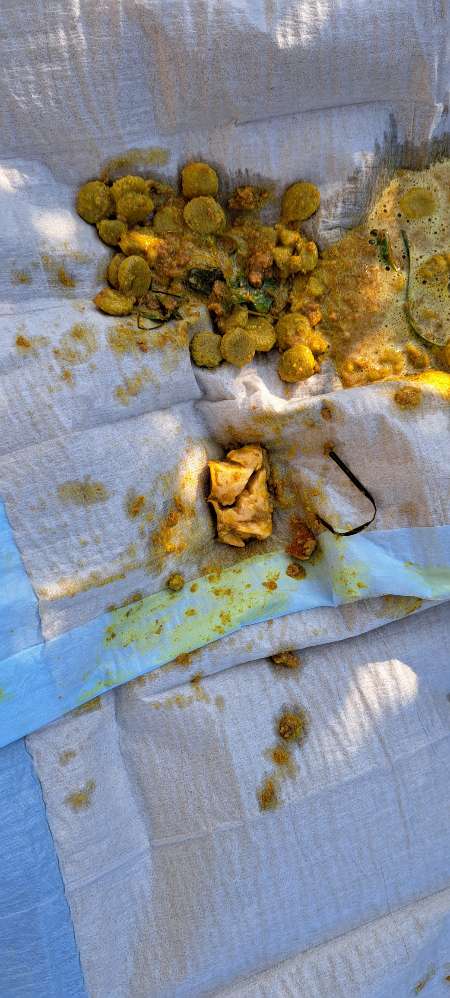 Giftköder-Giftköder-Profilbild