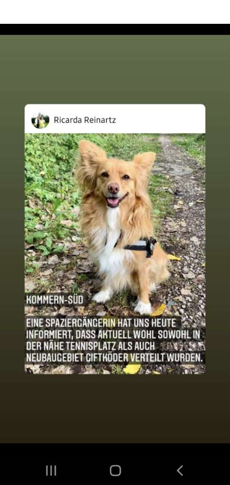 Giftköder-Rattengift-Profilbild