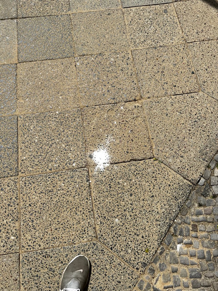 Giftköder-Giftköder-weißes Pulver-Profilbild