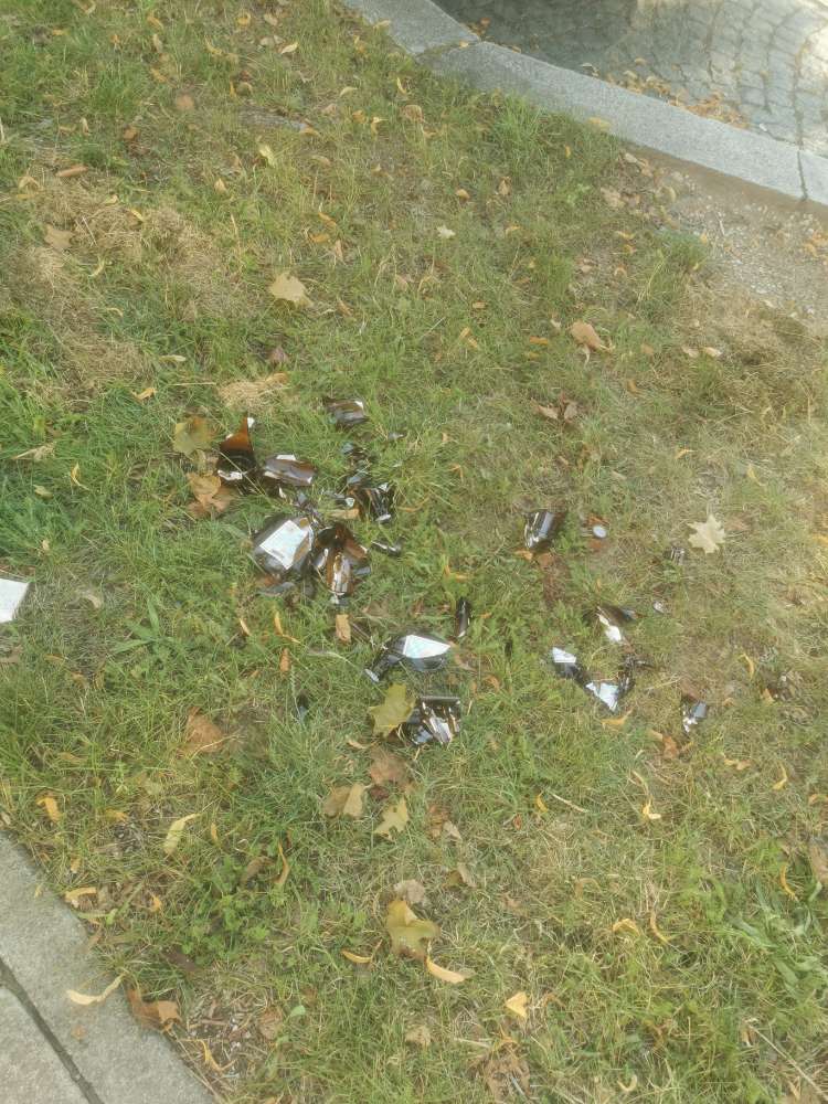 Giftköder-Glasscherben!!-Profilbild