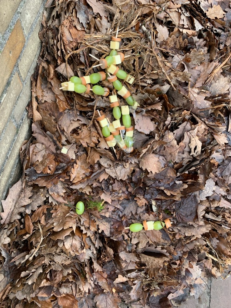 Giftköder-Wurst Käse Weintraube-Profilbild