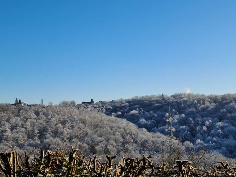 Hundetreffen-Spiele treffen in Remscheid-Profilbild