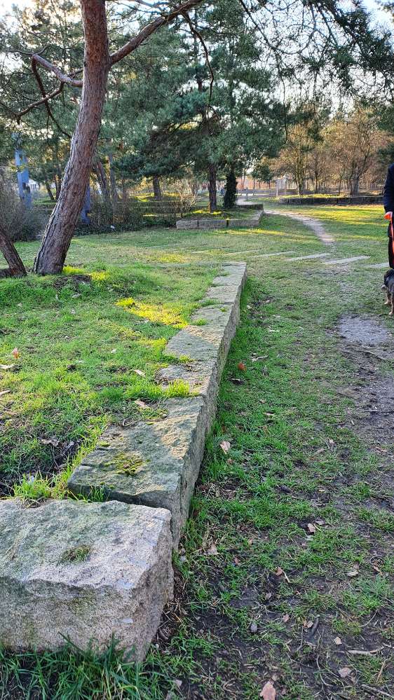 Giftköder-Blaukorn mit Vogelfutter gemischt-Profilbild