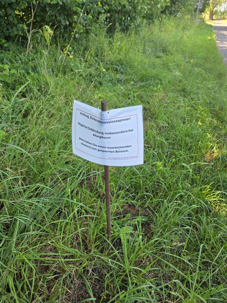 Giftköder-Eichenprozessionsspinner-Profilbild