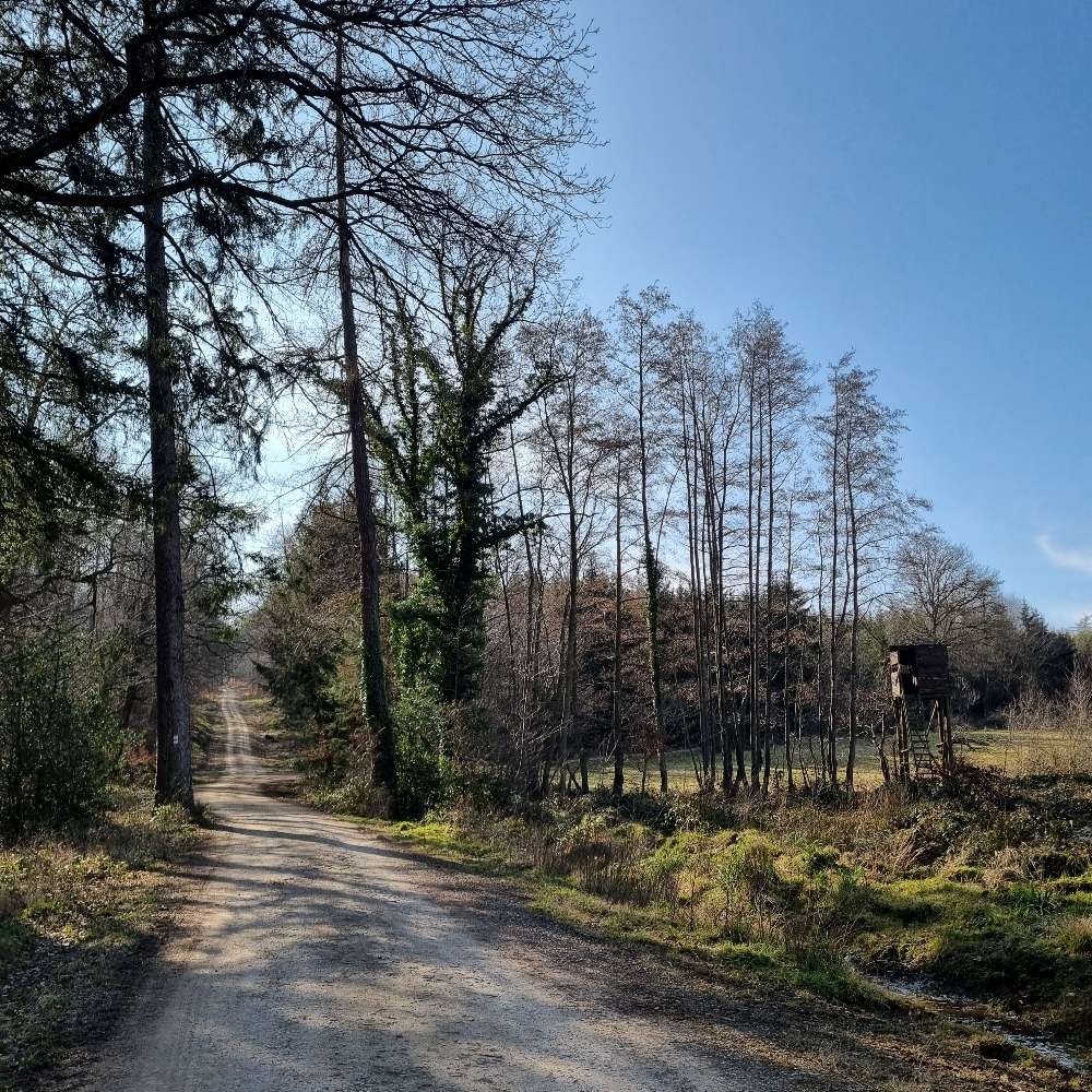 Hundetreffen-Region Voreifel - Spaziergänge & Wanderungen-Profilbild
