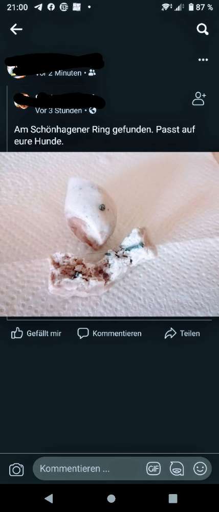 Giftköder-Giftköder-Profilbild