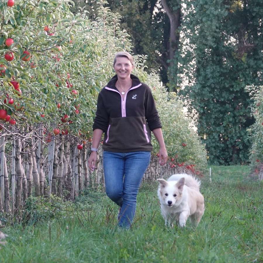 Hundetreffen-Treffen Gassirunde, Training & Spielen-Profilbild