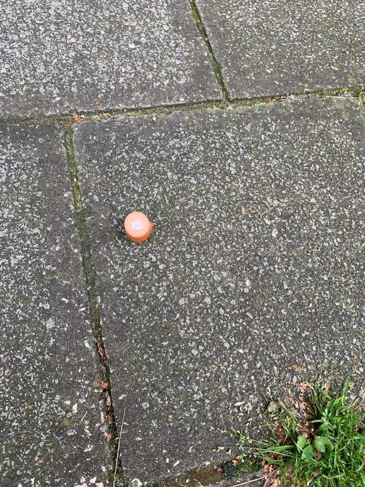 Giftköder-Vorsicht Giftköder! Wurst mit Rattengift-Profilbild