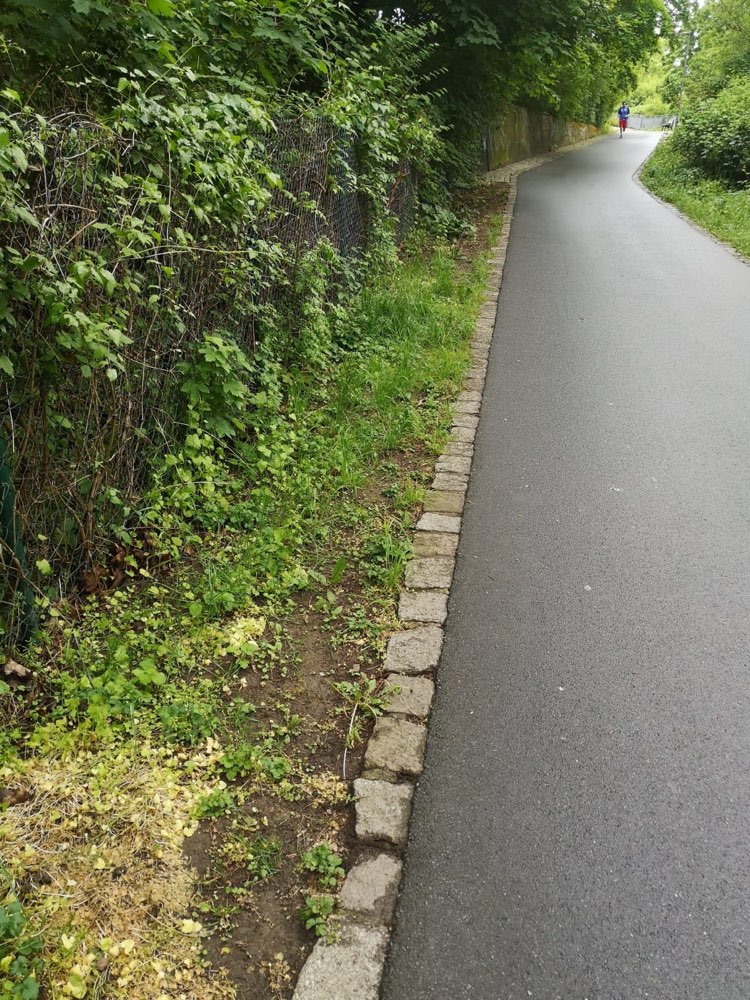 Giftköder-Möglicher Giftköder-Profilbild