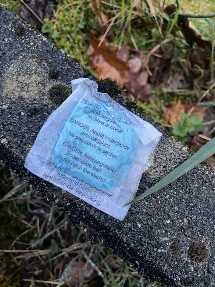 Giftköder-Rattengift Päckchen-Profilbild