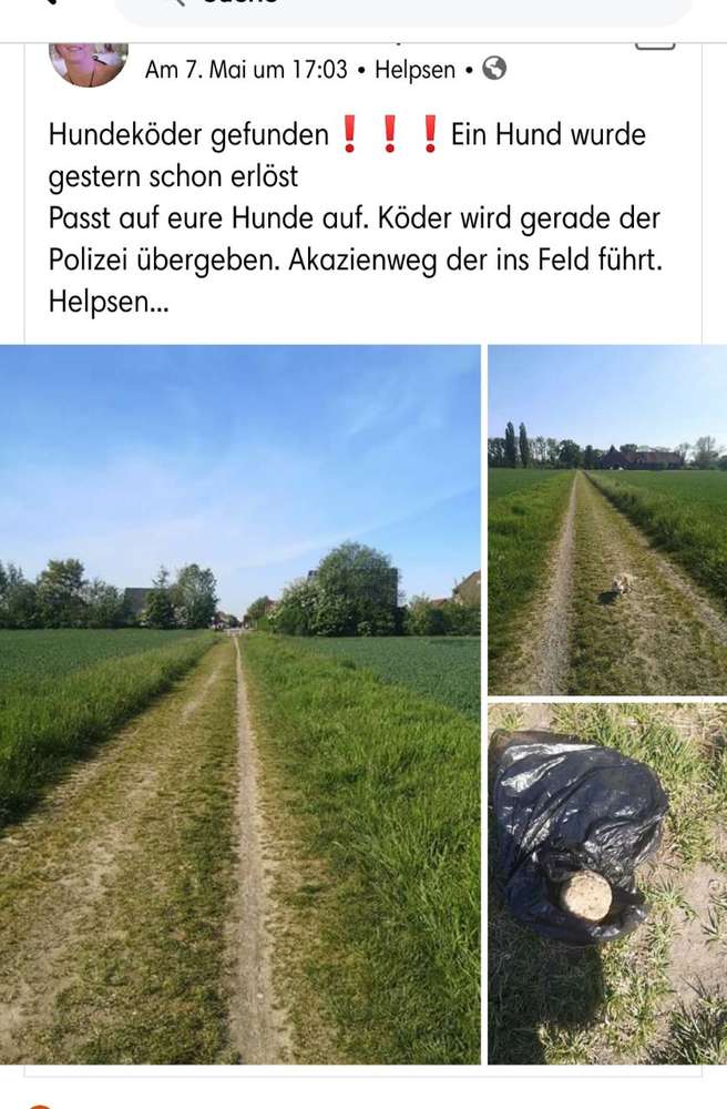 Giftköder-Giftköder-Profilbild