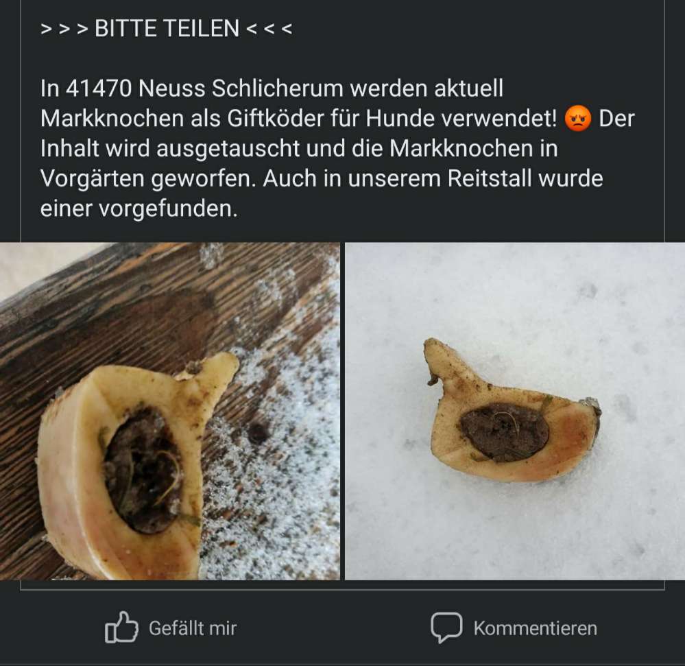 Giftköder-Markknochen als Giftköder-Profilbild