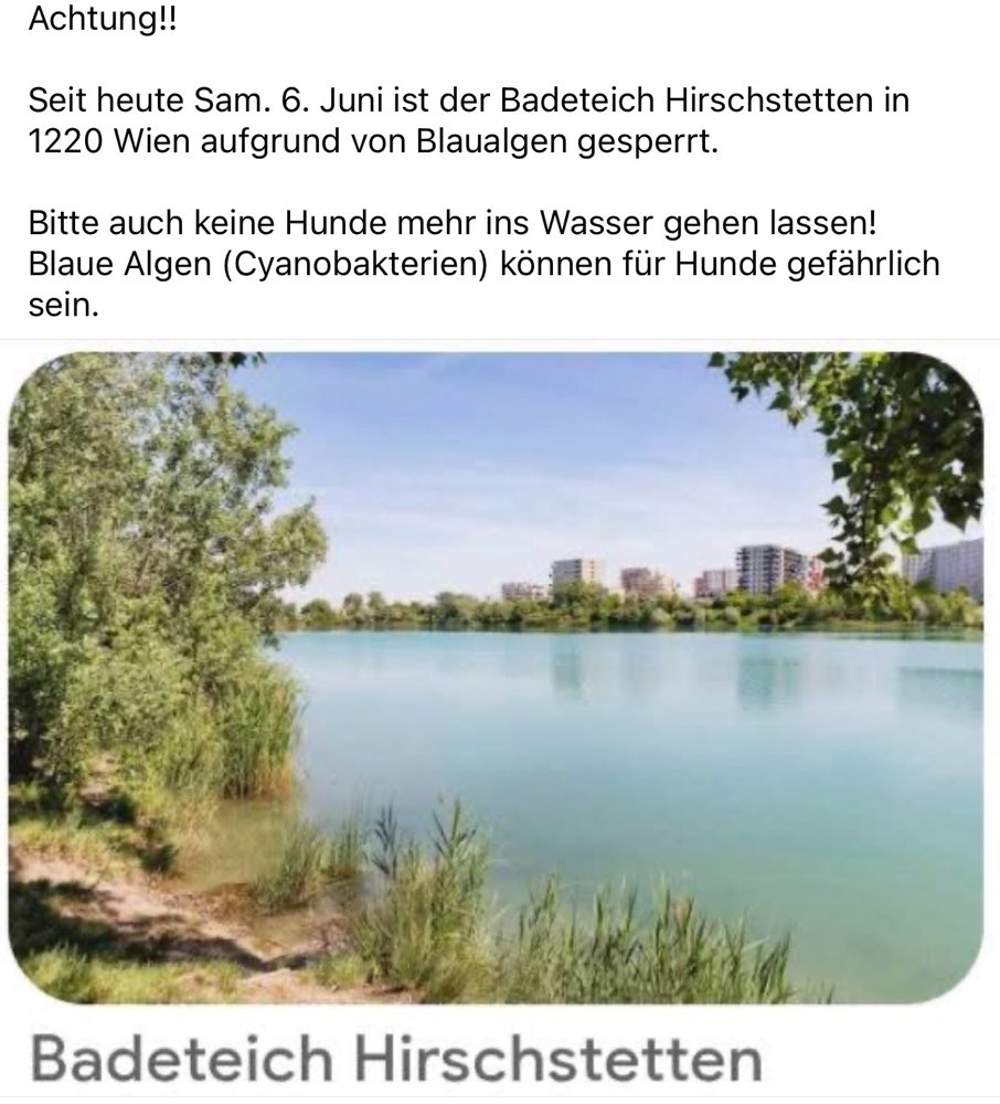Giftköder-Blaualgen-Profilbild