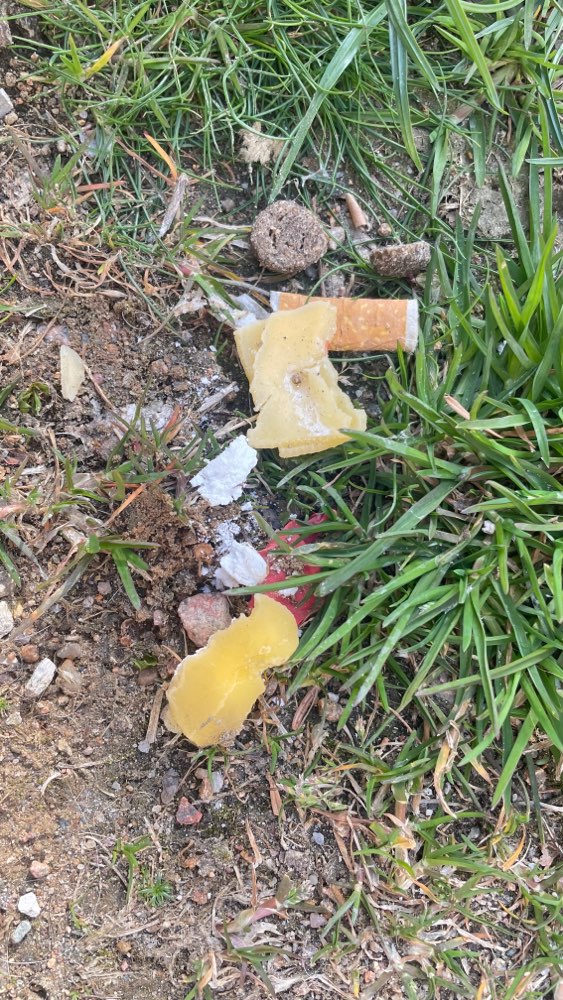 Giftköder-Giftköder in Käse (neue Mitte Altona)-Profilbild