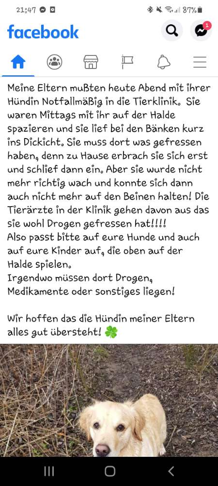 Giftköder-Evtl Drogen oder sonstiges / Lünen Halde-Profilbild