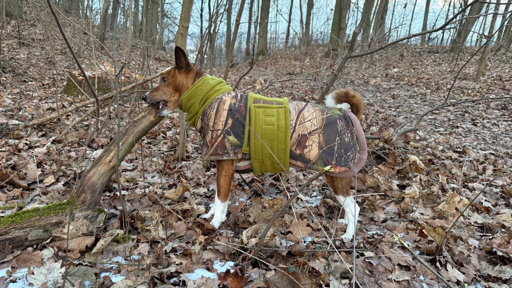 Kleinholz machen 🤣Biber Art 🐾❤️ Banner