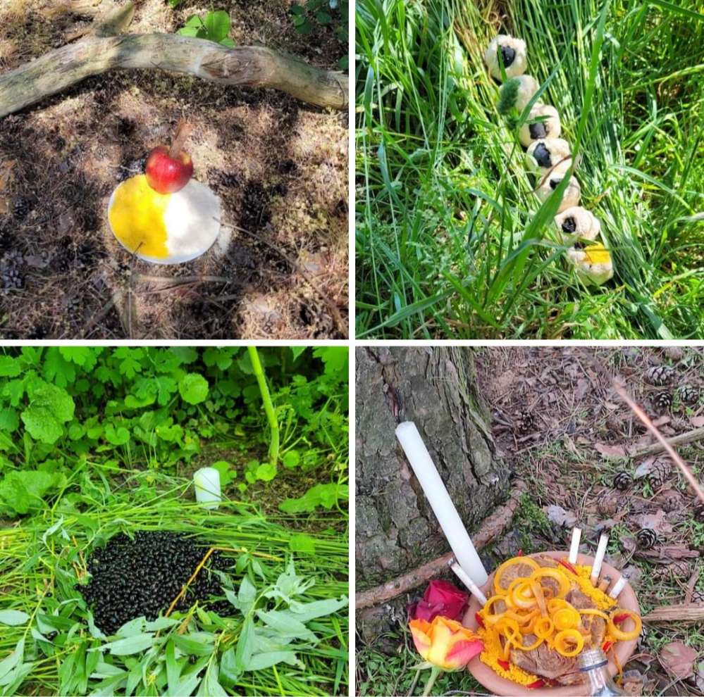 Giftköder-Essen-Profilbild