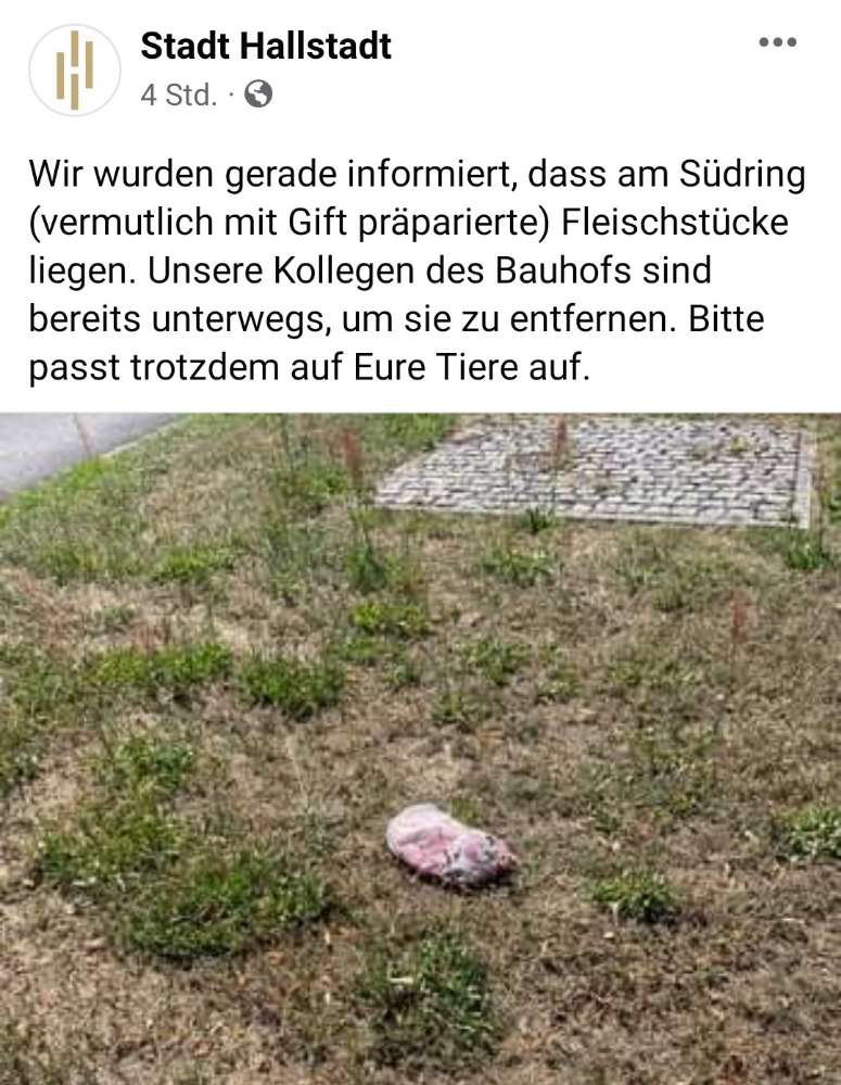 Giftköder-Giftköder am Südring-Profilbild