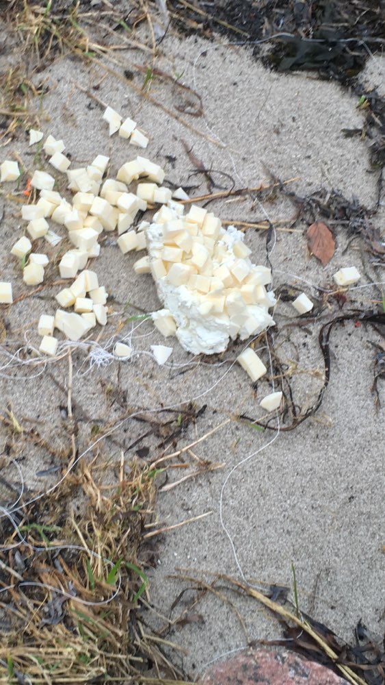 Giftköder-Evtl. Giftköder-Profilbild