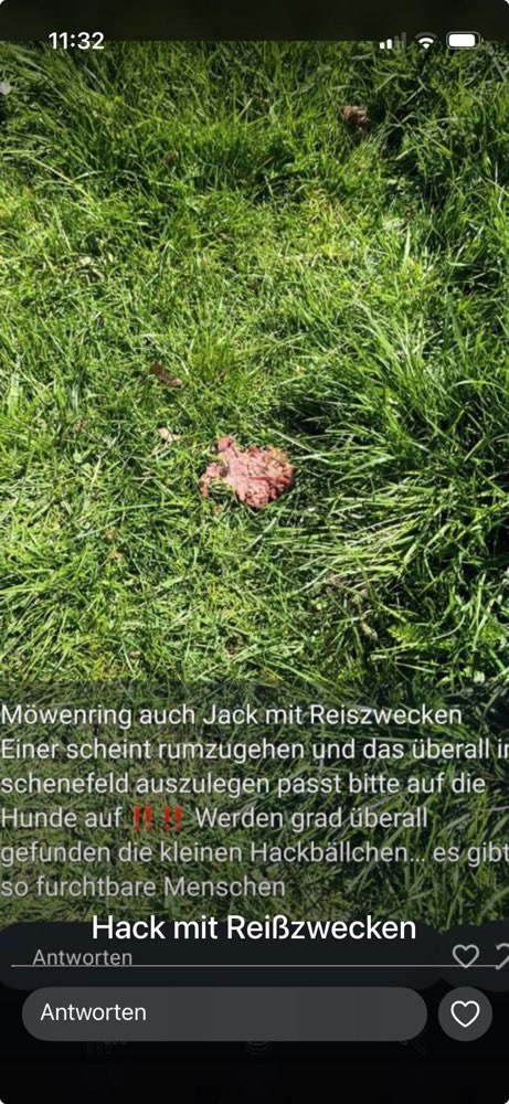 Giftköder-Hack mit Reiszwecken-Profilbild