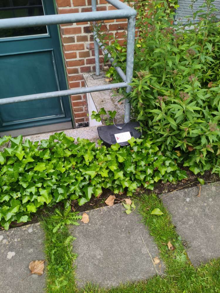 Giftköder-Rattengift-Profilbild