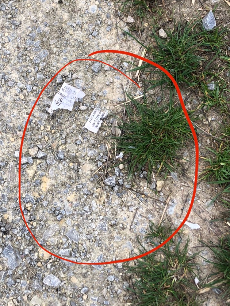 Giftköder-Mögliche giftige Substanz-Profilbild