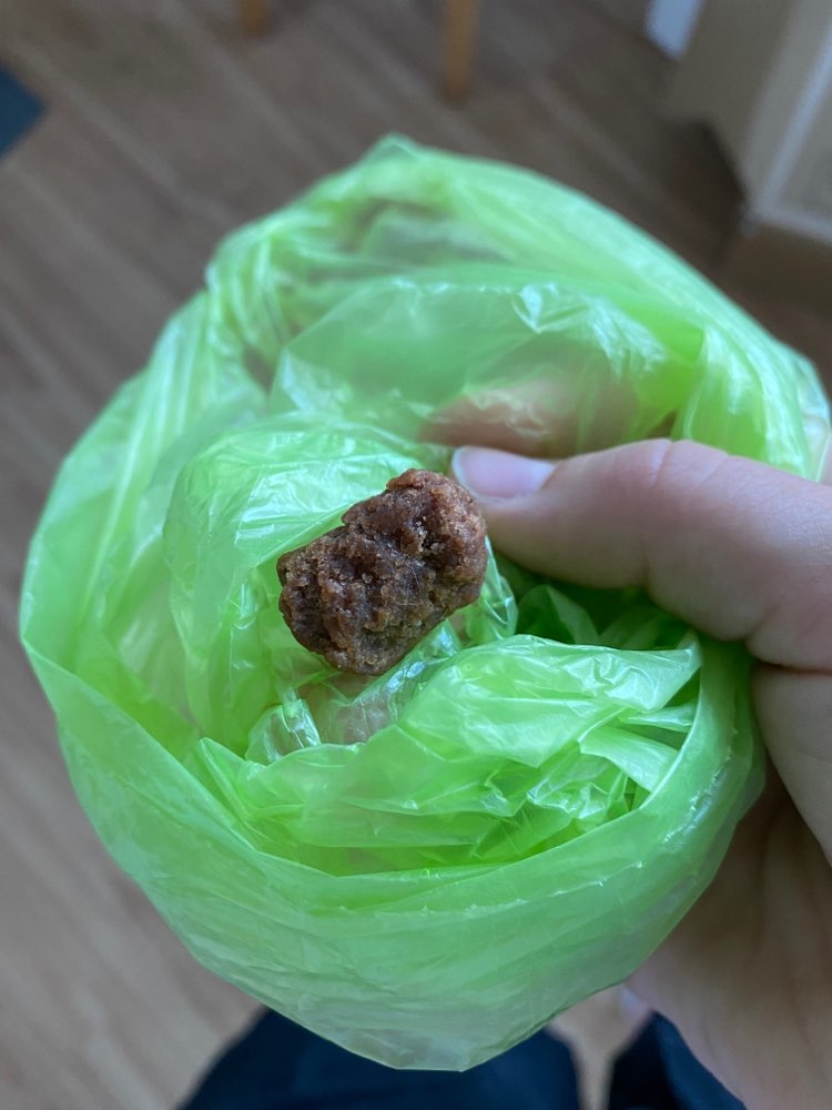 Giftköder-Leckerlis/Fleischstück in Gras gefunden-Profilbild