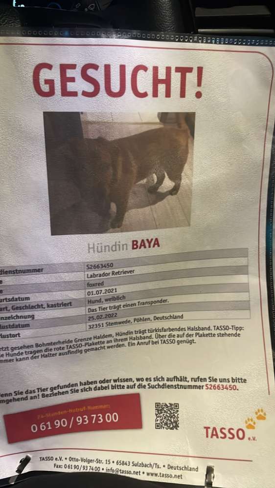 Suchmeldung-Baya von Pöhlen-Profilbild