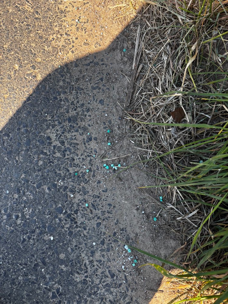 Giftköder-Blaue Körnchen!!!-Profilbild