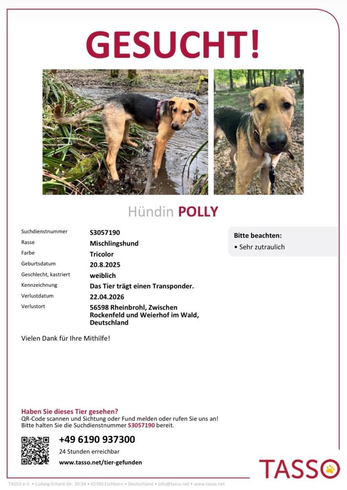 Suchmeldung-Polly-Profilbild