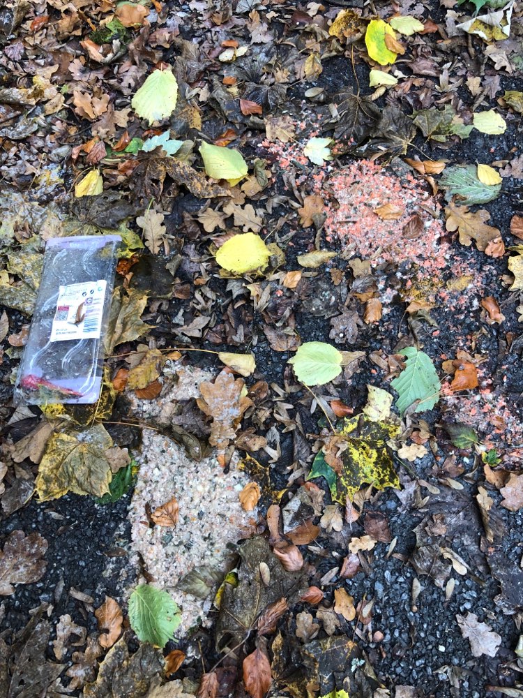 Giftköder-Evtl. Giftköder-Profilbild