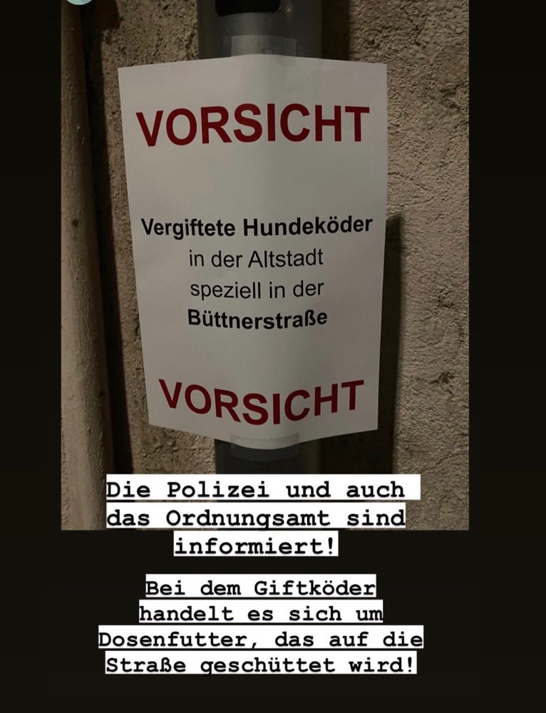 Giftköder-Giftköder-Profilbild