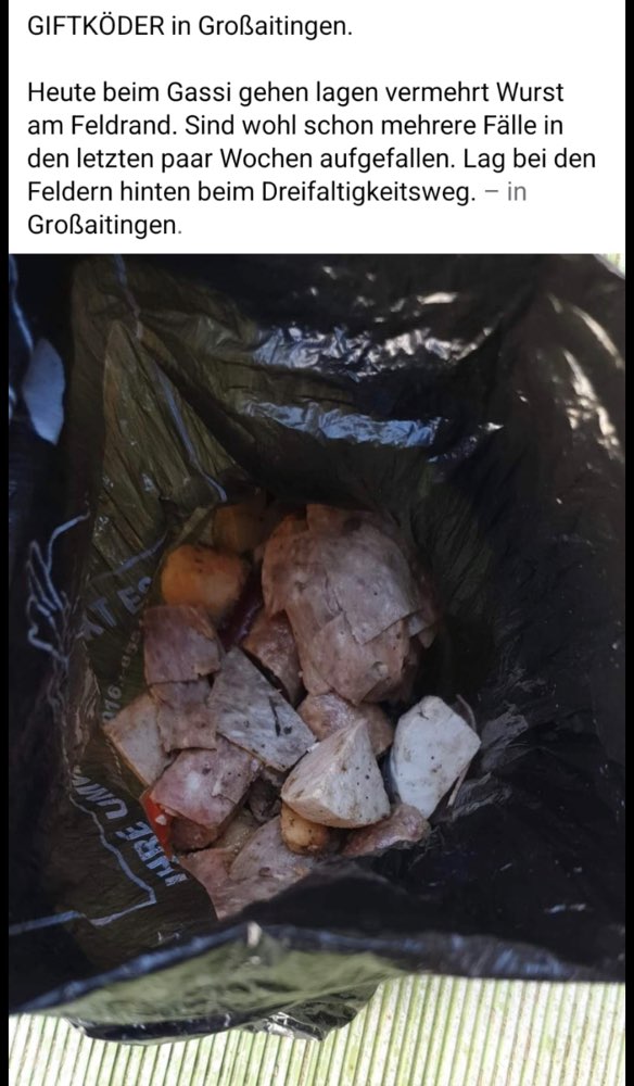 Giftköder-Giftköder-Profilbild